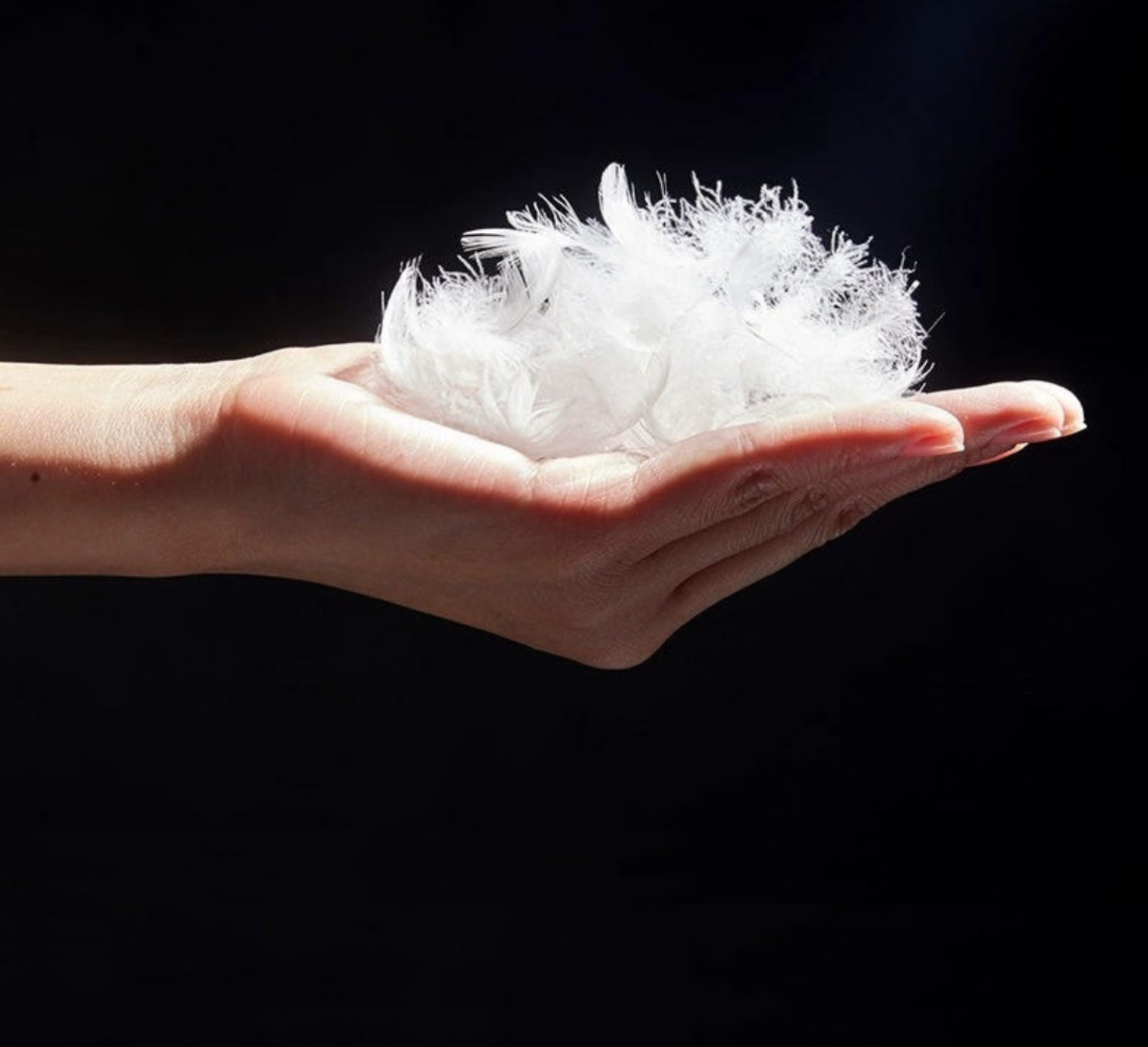 A handful of premium goose feather down